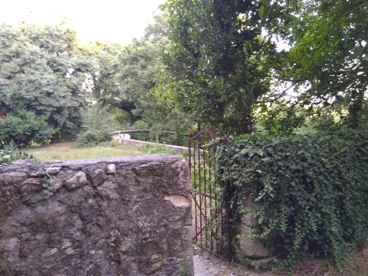 Jankovich Castle Apartment Benkovac Exterior photo