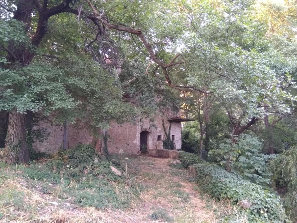 Jankovich Castle Apartment Benkovac Exterior photo